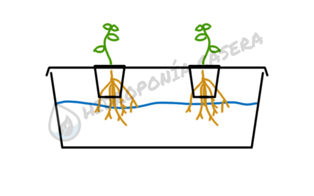 sistema hidroponico corte transversal