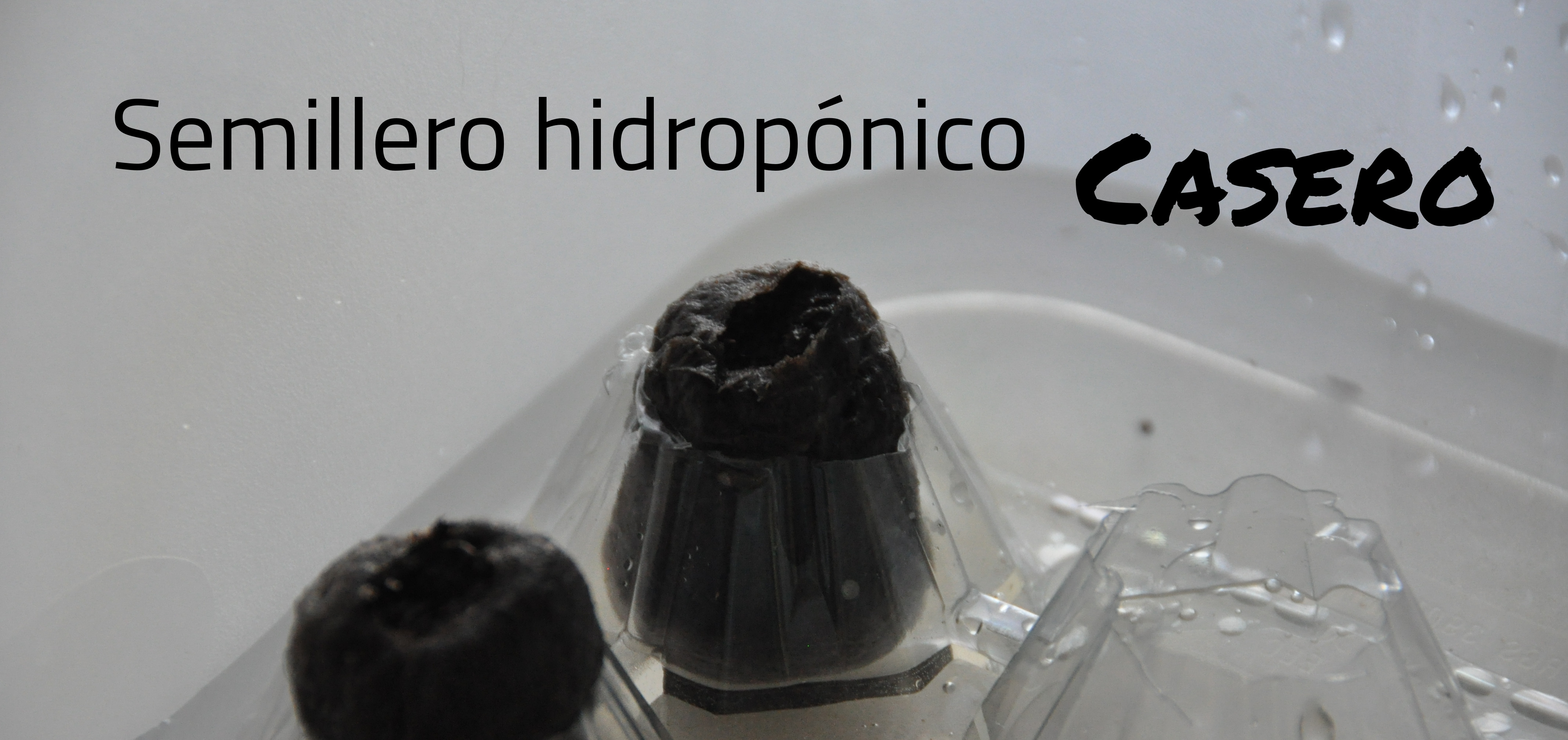 semillero hidroponico
