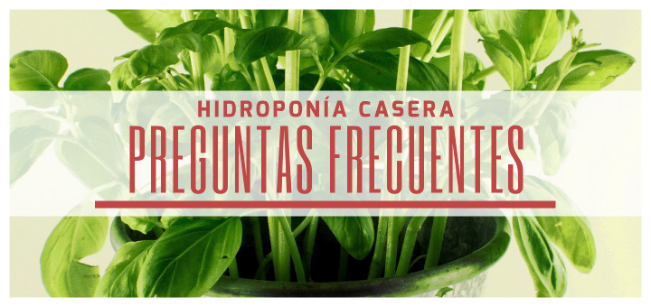 Preguntas frecuentes hidroponia